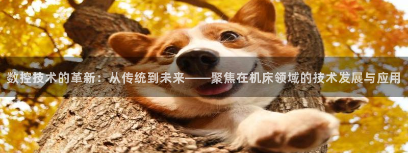 天辰娱乐内部
