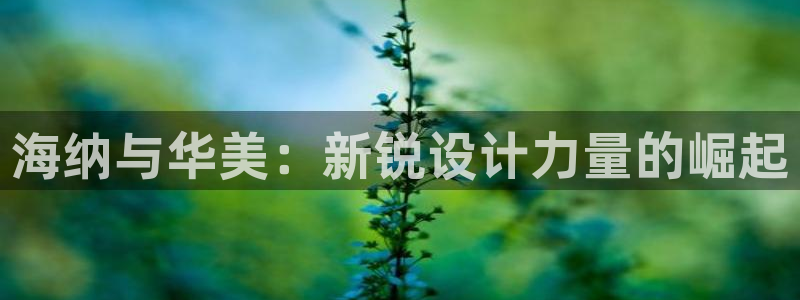 天辰娱乐服务