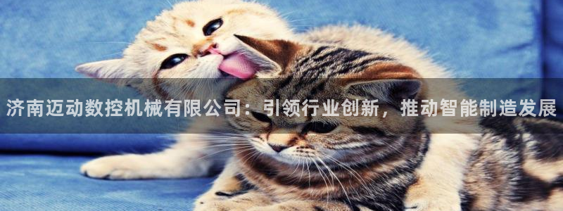 天辰娱乐 注册