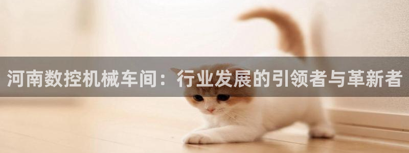 天辰娱乐输了