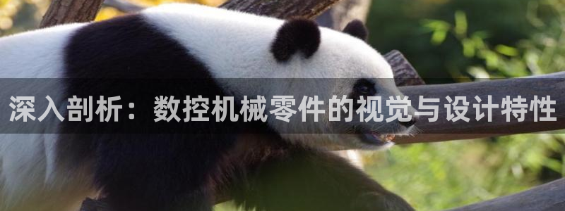 天辰娱乐53551