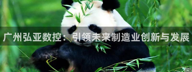 天辰娱乐直属
