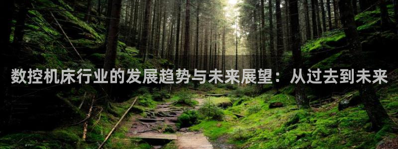 天辰娱乐1996