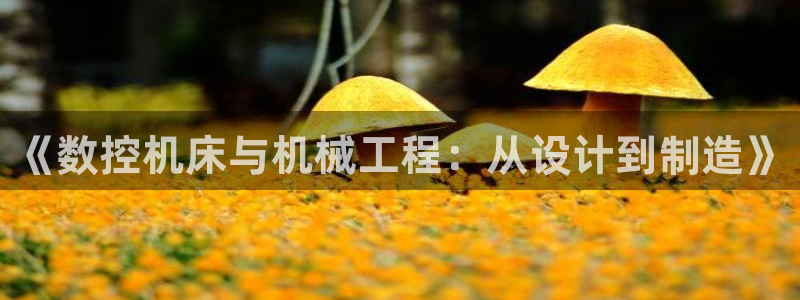 天辰娱乐欢乐