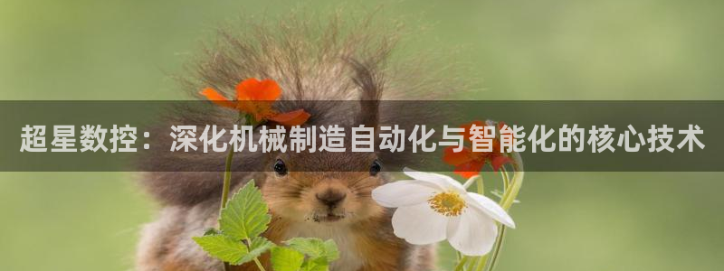 nba天辰娱乐