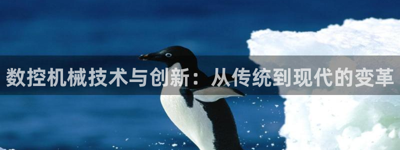 天辰娱乐 849852