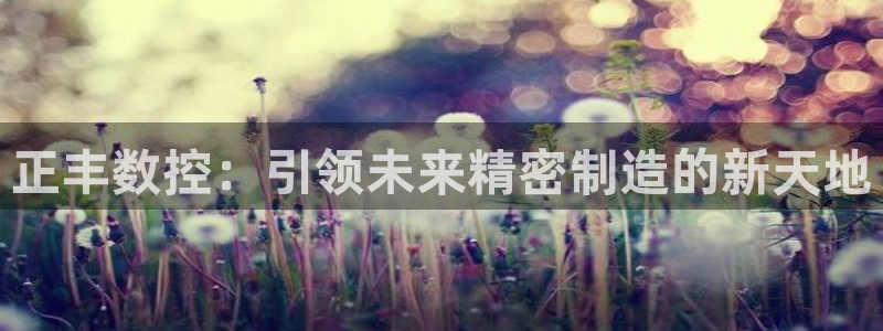 天辰娱乐游客