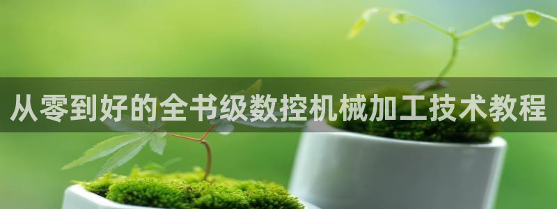 天辰娱乐游客