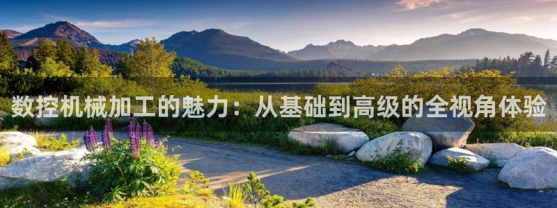 天辰娱乐维护
