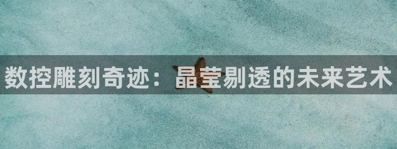 天辰娱乐鱼刺