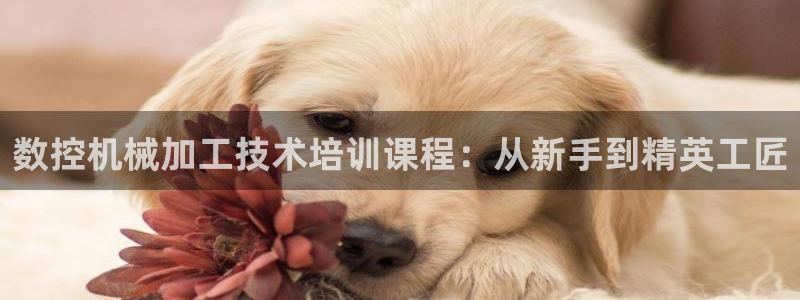 辰天娱乐用品