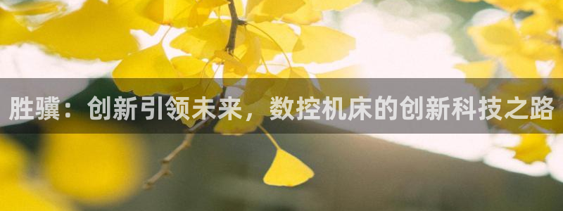 天辰娱乐平台入口