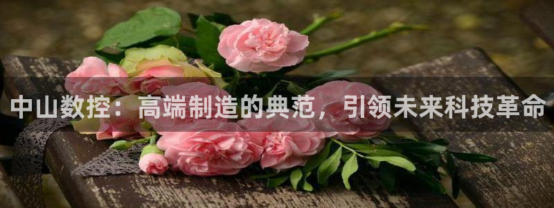 天辰平台娱乐