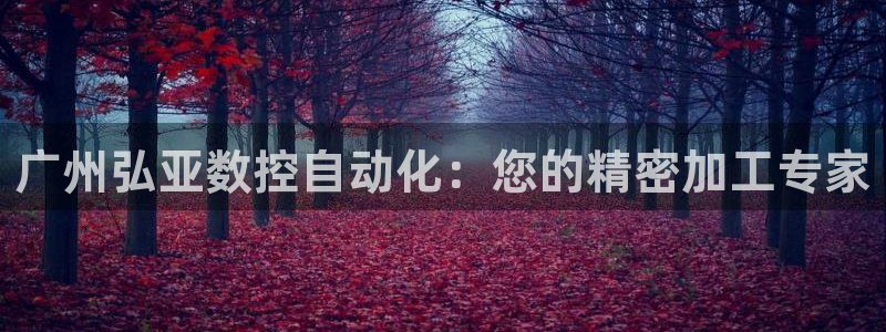 天辰娱乐黑人：广州弘亚数控自动化：您的精密加工专家