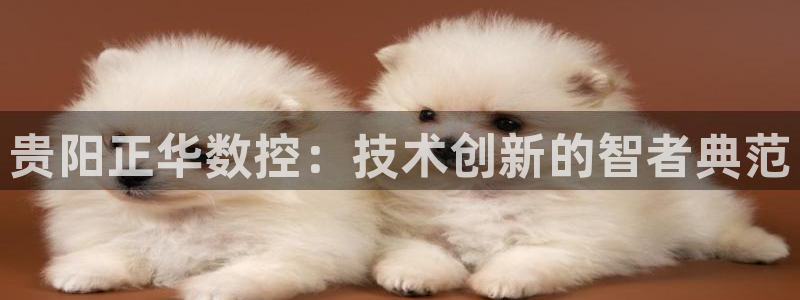 天辰宝宝娱乐