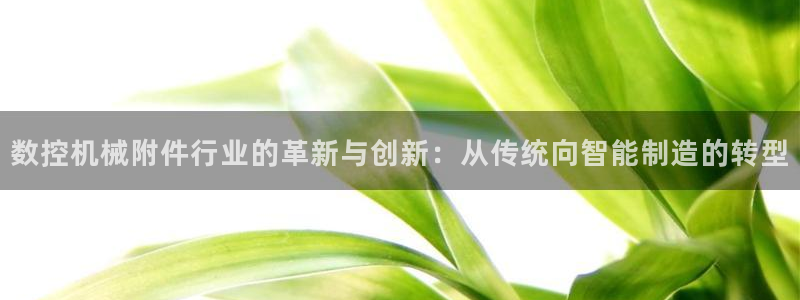 nba天辰娱乐：数控机械附件行业的革新与创新：从传统向智能制造的转型