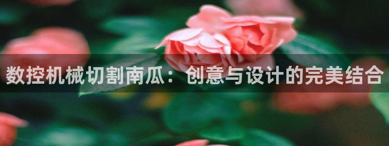 天辰娱乐新