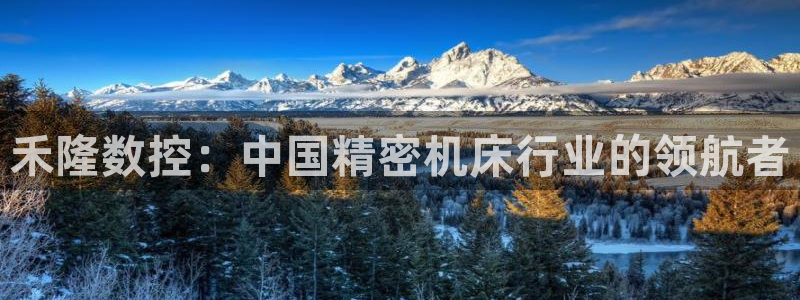 天辰辰娱乐代理：禾隆数控：中国精密机床行业的领航者
