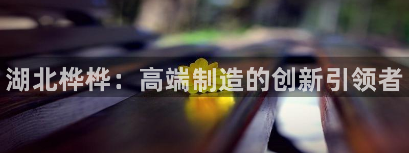 天辰娱乐指尖所：湖北桦桦：高端制造的创新引领者