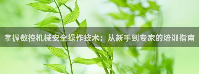 天辰娱乐会所:掌握数控机械安全操作技术:从新手到专家的培训指南