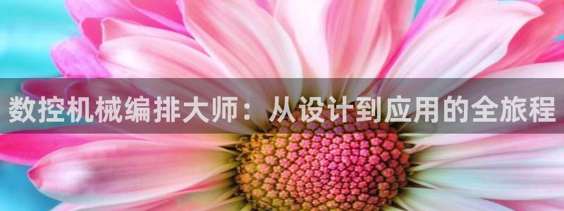 天辰娱乐新