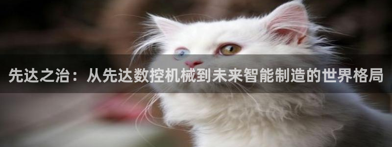 天辰娱乐台湾