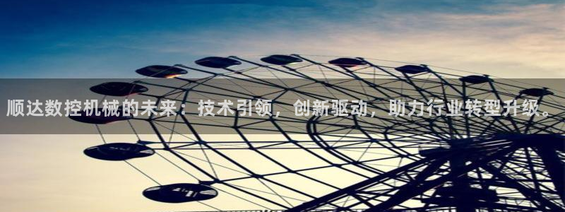 天辰娱乐新闻:顺达数控机械的未来:技术引领,创新驱动,助力行业转型升级。