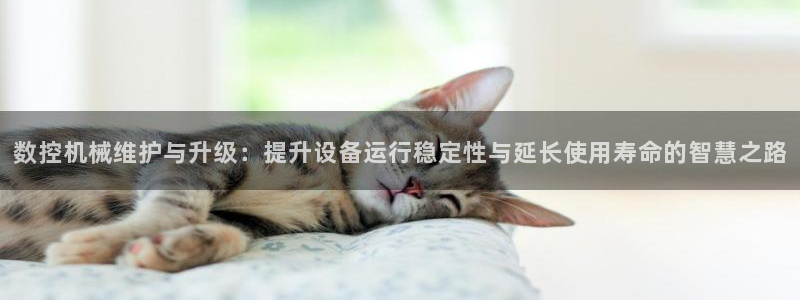 天辰娱乐地址