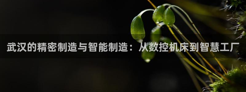 天辰娱乐链接