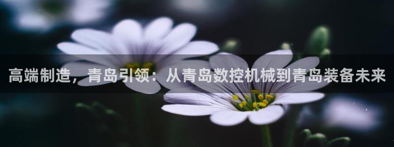 天辰娱乐注册