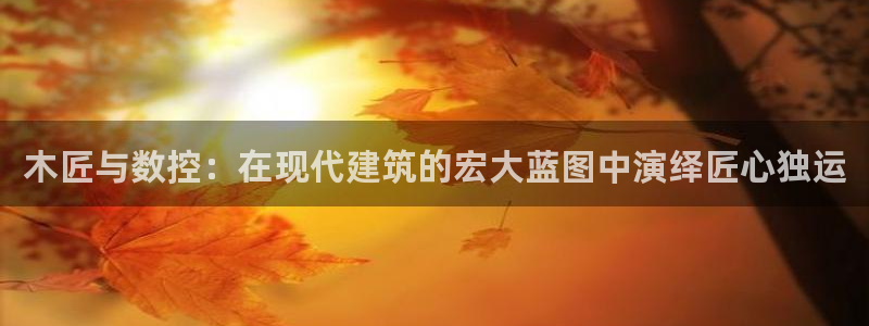 天辰娱乐登陆:木匠与数控:在现代建筑的宏大蓝图中演绎匠心独运