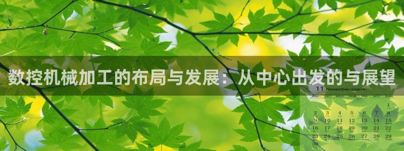 天辰娱乐 18113:数控机械加工的布局与发展:从中心出发的与展望