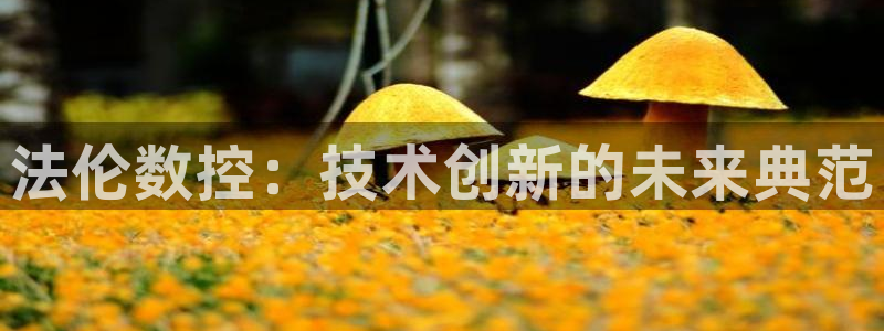 天辰娱乐咋样