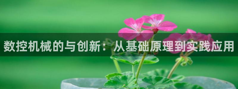 天辰娱乐连接