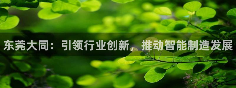 天辰娱乐557696