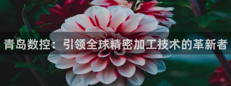 天辰平台娱乐