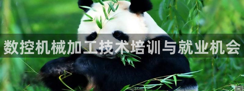 天辰说娱乐