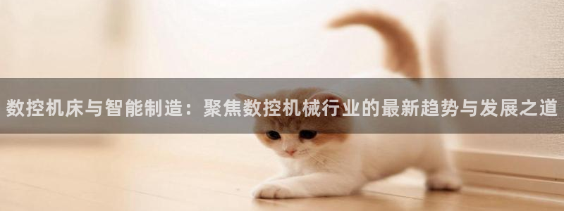 天辰娱乐直属