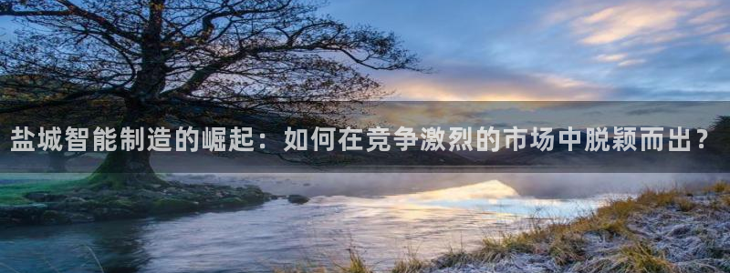 天富娱乐与天辰娱乐:盐城智能制造的崛起:如何在竞争激烈的市场中脱颖而出?