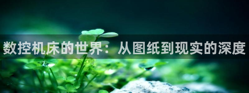 天富娱乐与天辰娱乐