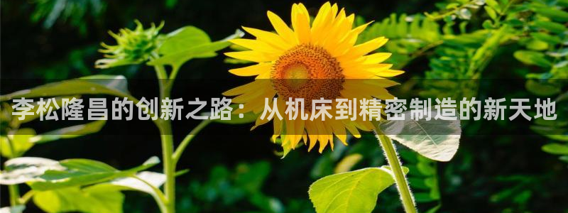 广东天辰娱乐:李松隆昌的创新之路:从机床到精密制造的新天地