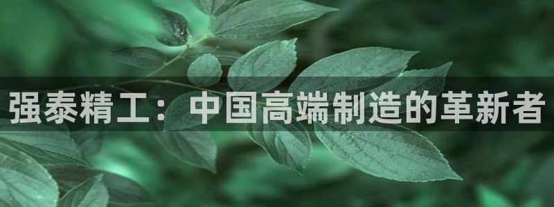 天辰娱乐注册登录:强泰精工:中国高端制造的革新者