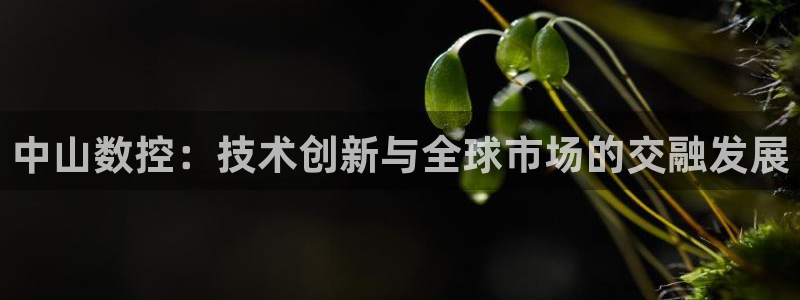 辰天娱乐用品:中山数控:技术创新与全球市场的交融发展