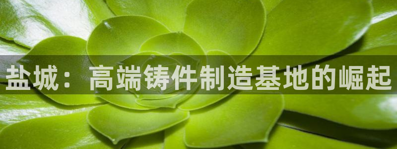 天辰娱乐上级