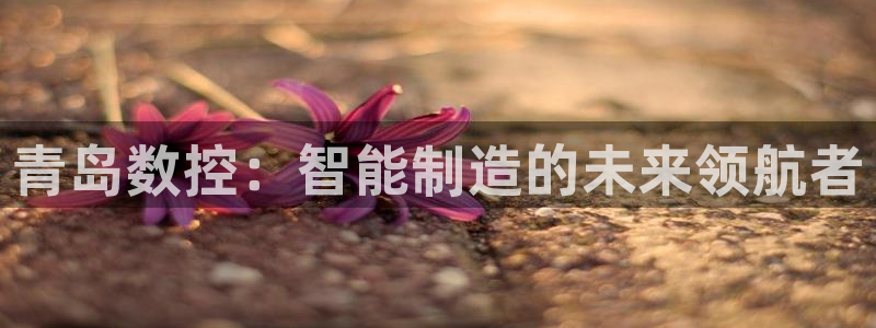 天辰娱乐平台注册