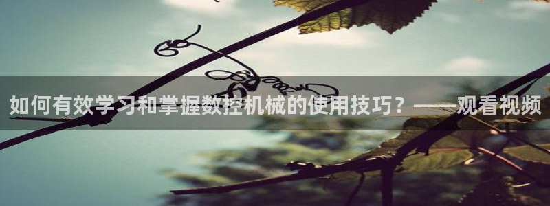 天辰娱乐会员