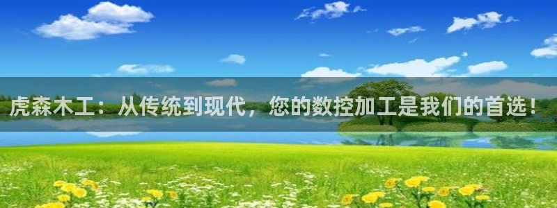 天辰娱乐登陆：虎森木工：从传统到现代，您的数控加工是我们的首选！