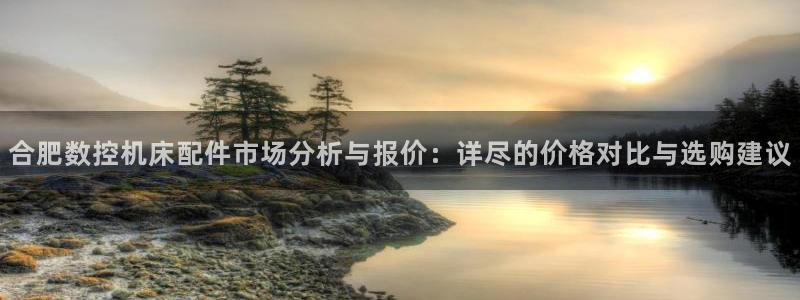 天辰娱乐登录测试:合肥数控机床配件市场分析与报价:详尽的价格对比与选购建议