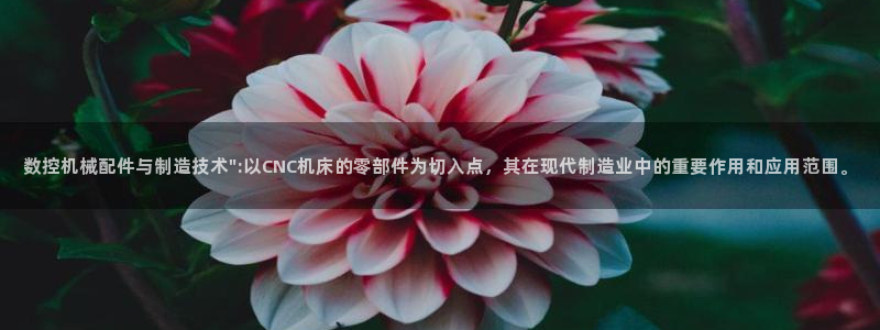 天辰娱乐公司:数控机械配件与制造技术\