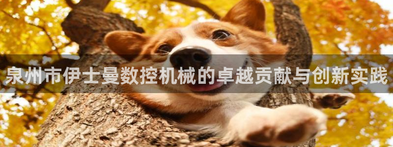 天辰娱乐软件